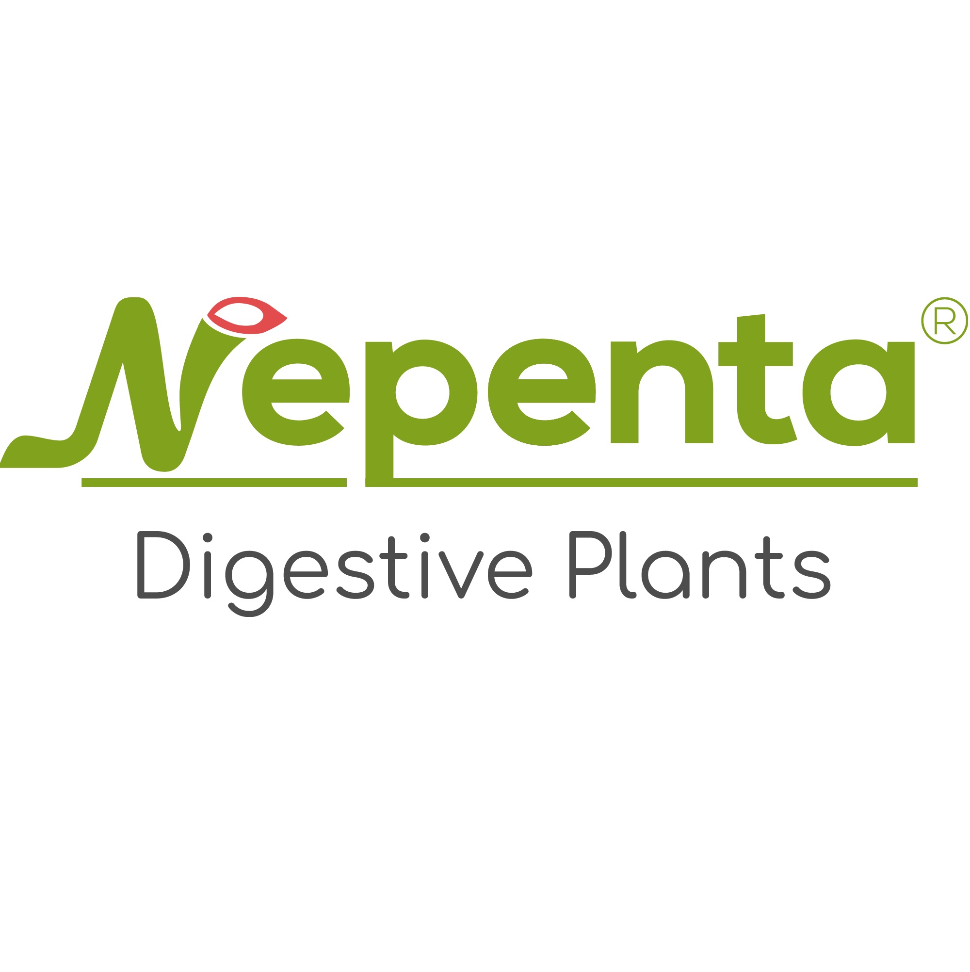 Nepenta Nepenta